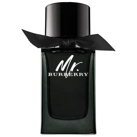 burberry mr burberry 150ml edt|mr Burberry sephora.